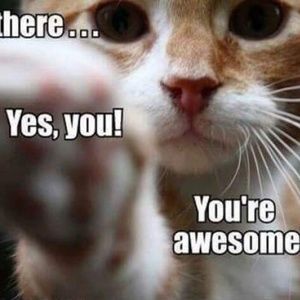 Meet your Posher, Janet